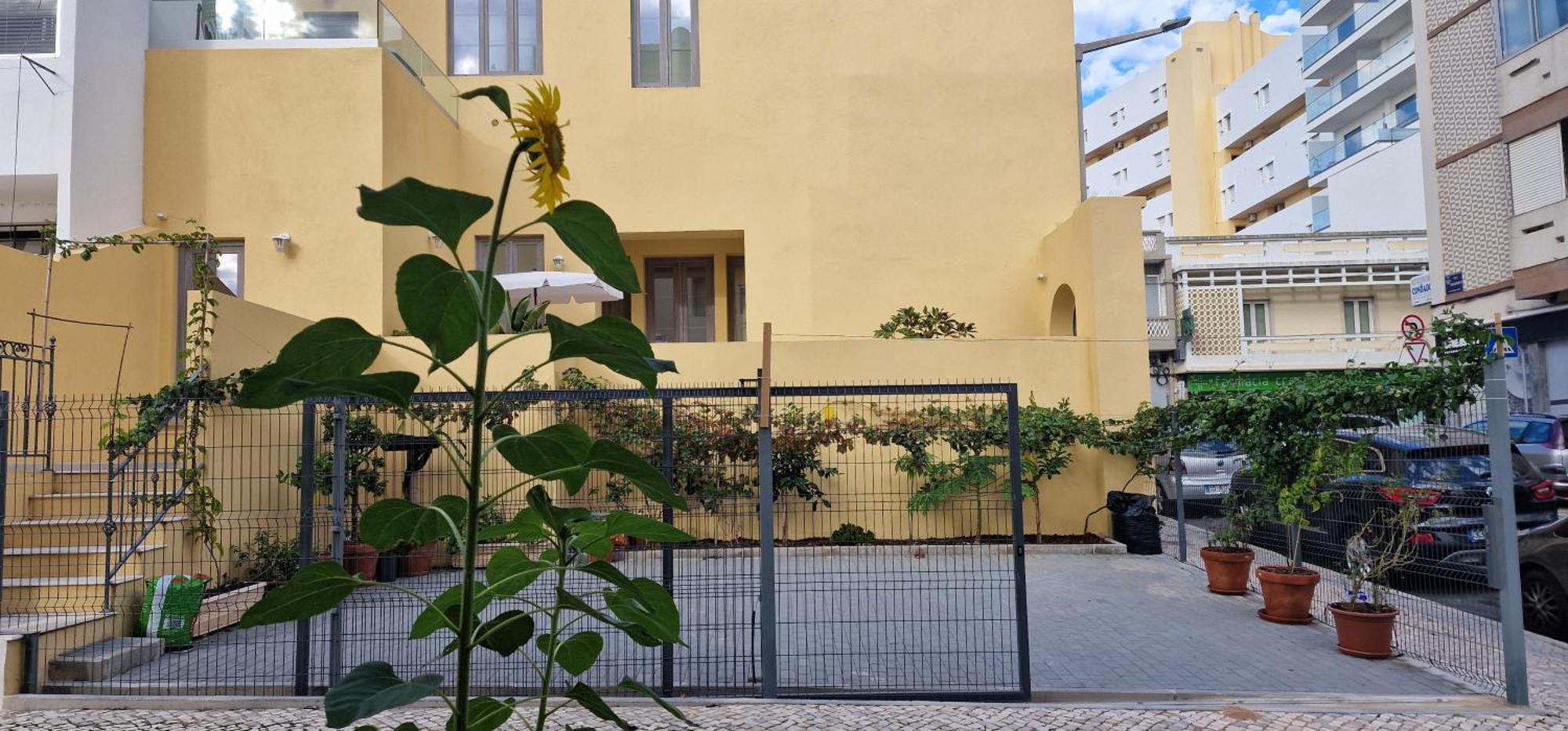 Casa Da Acoteia Appartement *